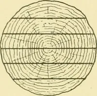 An illustration from Modern cabinet work, furniture & fitments; an account of the theory & practice in the production of all kinds of cabinet work & furniture with chapters on the growth and progress of design and construction; illustrated by over 1000 practical workshop drawings, photographs & original designs (1922)
