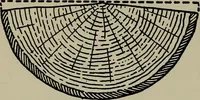 An illustration from Modern cabinetwork, furniture & fitments; an account of the theory & practice in the production of all kinds of cabinetwork & furniture, with chapters on the growth and progress of design and construction; (1910)