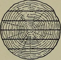 An illustration from Modern cabinetwork, furniture & fitments; an account of the theory & practice in the production of all kinds of cabinetwork & furniture, with chapters on the growth and progress of design and construction; (1910)