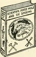 An illustration from Modern carpentry and joinery : being a compilation of the very best things and most modern and practical methods known in the arts of carpentry and joinery (1910)