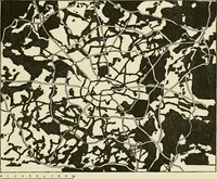 An illustration from Modern city planning and maintenance (1914)