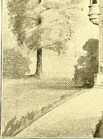 An illustration from Modern dwellings : a book of practical designs and plans for those who wish to build or beautify their homes (1901)