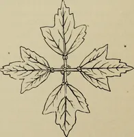 An illustration from Modern dwellings in town and country adapted to American wants and climate with a treatise on furniture and decoration (1878)