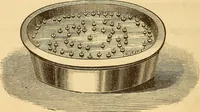 An illustration from Modern electricity and magnetism, theoretically and practically considered (1885)