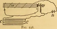 Picture 106 of 119 from Modern electricity and magnetism, theoretically and practically considered (1885), leaf 166