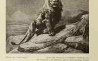 Picture 53 of 197 from Modern etching and engraving (1902), leaf 107