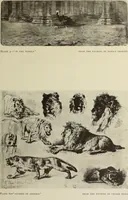 An illustration from Modern etching and engraving (1902)