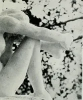 Picture 20 of 51 from Modern French masters (1904), leaf 96