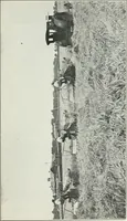 An illustration from The modern gas tractor, its construction, utility, operation and repair: a practical treatise defining every branch of up-to-date gas tractor engineering, driving and maintenance in a non-technical manner. Considers fully all types of power plants and their components, methods of drive and speed changing mechanisms. Describes design and construction as well as practical application of tractors in the field (1919)