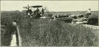 An illustration from The modern gas tractor, its construction, utility, operation and repair: a practical treatise defining every branch of up-to-date gas tractor engineering, driving and maintenance in a non-technical manner. Considers fully all types of power plants and their components, methods of drive and speed changing mechanisms. Describes design and construction as well as practical application of tractors in the field (1919)