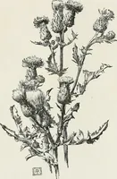 An illustration from Modern illustration (1895)