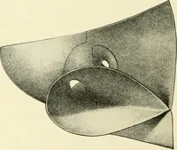 An illustration from Modern instruments and methods of calculation : a handbook of the Napier Tercentenary Exhibition (1914)