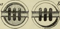 An illustration from Modern magic. : A practical treatise on the art of conjuring. (1885)