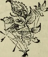 An illustration from Modern magic. : A practical treatise on the art of conjuring. (1885)