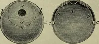 An illustration from Modern magic. : A practical treatise on the art of conjuring. (1885)