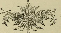 An illustration from Modern magic. : A practical treatise on the art of conjuring. (1885)