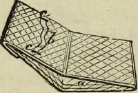An illustration from Modern magic. : A practical treatise on the art of conjuring. (1885)