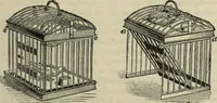 An illustration from Modern magic. : A practical treatise on the art of conjuring. (1885)
