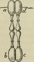 An illustration from Modern magic. : A practical treatise on the art of conjuring. (1885)