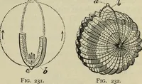 An illustration from Modern magic. : A practical treatise on the art of conjuring. (1885)