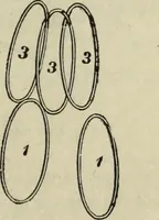 An illustration from Modern magic. : A practical treatise on the art of conjuring. (1885)