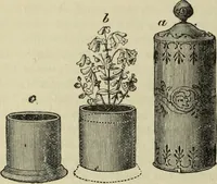 An illustration from Modern magic. : A practical treatise on the art of conjuring. (1885)