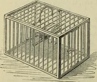 An illustration from Modern magic. : A practical treatise on the art of conjuring. (1885)