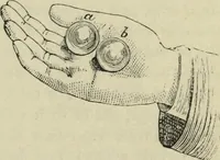 An illustration from Modern magic. : A practical treatise on the art of conjuring. (1885)