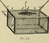 An illustration from Modern magic. : A practical treatise on the art of conjuring. (1885)
