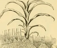 An illustration from Modern mechanism, exhibiting the latest progress in machines, motors, and the transmission of power, being a supplementary volume to Appletons' cyclopaedia of applied mechanics (1892)