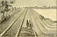 An illustration from Modern mechanism, exhibiting the latest progress in machines, motors, and the transmission of power, being a supplementary volume to Appletons' cyclopaedia of applied mechanics (1892)