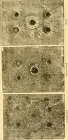 An illustration from Modern mechanism, exhibiting the latest progress in machines, motors, and the transmission of power, being a supplementary volume to Appletons' cyclopaedia of applied mechanics (1892)