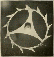 Picture 103 of 126 from Modern methods in horology (1904), leaf 235