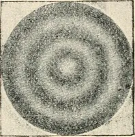 An illustration from Modern microscopy; a handbook for beginners and students (1912)