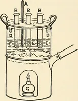 An illustration from Modern microscopy; a handbook for beginners and students (1912)