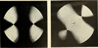 An illustration from Modern microscopy; a handbook for beginners and students (1912)