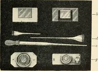 An illustration from Modern microscopy; a handbook for beginners and students (1912)