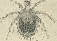 An illustration from Modern microscopy; a handbook for beginners and students (1912)
