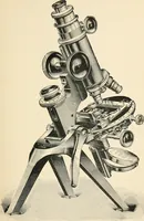 An illustration from Modern microscopy; a handbook for beginners and students (1912)