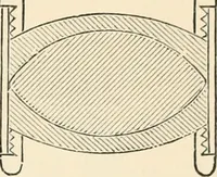 An illustration from Modern microscopy; a handbook for beginners and students (1912)