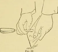 An illustration from Modern painting, hardwood finishing and sign writing .. (1914)