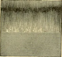 An illustration from Modern painting, hardwood finishing and sign writing .. (1914)
