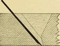 An illustration from Modern painting, hardwood finishing and sign writing .. (1914)