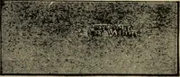 An illustration from Modern painting, hardwood finishing and sign writing (1918)