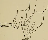 An illustration from Modern painting, hardwood finishing and sign writing (1918)