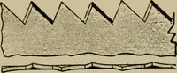 Picture 143 of 188 from Modern painting, hardwood finishing and sign writing (1918), leaf 548