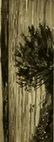 An illustration from Modern paintings by German and Austrian masters (1916)