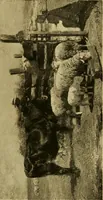 An illustration from Modern paintings by German and Austrian masters (1916)