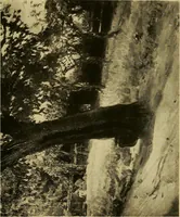 An illustration from Modern paintings by German and Austrian masters (1916)