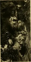 An illustration from Modern paintings by German and Austrian masters (1916)